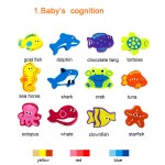 Joc de pescuit  magentic cu recunoasterea si sortarea formelor